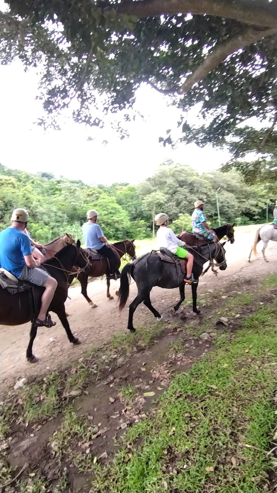 Visitantes recorriendo un sendero a caballo